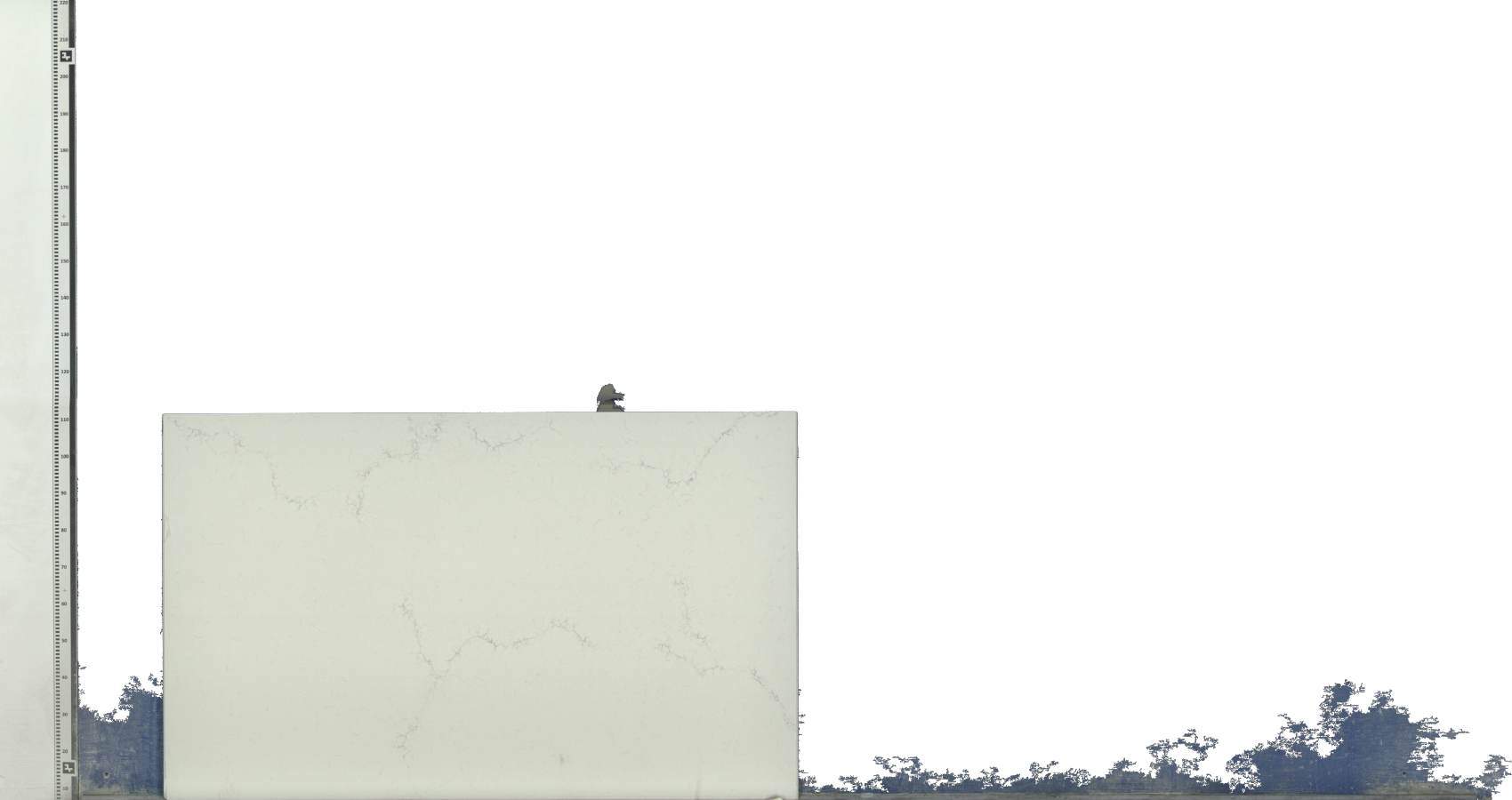 Image unavailable